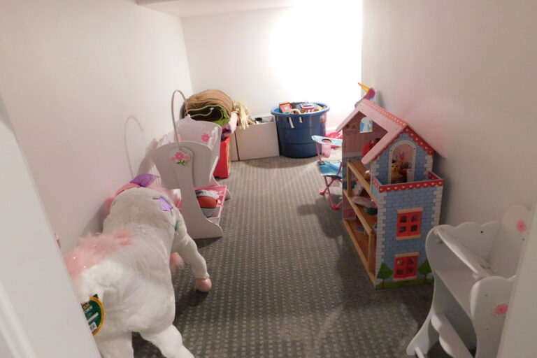 basement playroom constructed by pro worx contstruction in utah