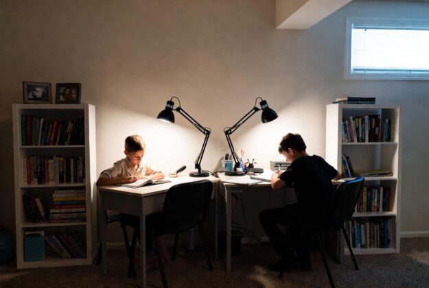 Two boys with bookshelves as dividers