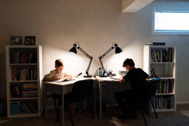 Two boys with bookshelves as dividers Two boys with bookshelves as dividers